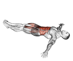 Lying Leg Hip Raise on Floor - Video Guide | Lyfta