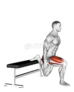 Bulgarian Split Squat - Video Guide | Lyfta