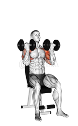 Image of Dumbbell Seated Biceps Curl to Shoulder Press