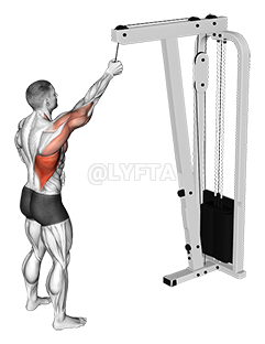 Image of Cable One Arm Pulldown