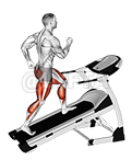 Walking on Incline Treadmill - Video Guide | Lyfta