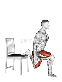 Bulgarian Split Squat With Chair Video Guide Lyfta