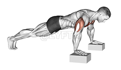 Elevanted Push-Up - Video Guide | Lyfta