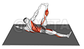 Starfish Exercise Inpp Starfish Crunch - Video Guide | Lyfta