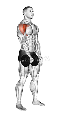 Single-Arm Dumbbell Front Raise Workout Guide