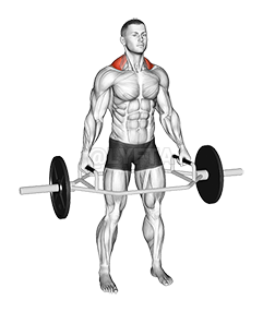 Trap Bar Standing Shrug - Video Guide | Lyfta