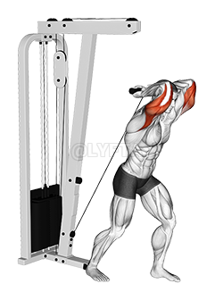 Image of Cable Overhead Tricep Extension StraighT-bar 