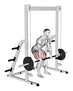 Image of Smith Rack Pull