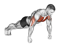 Image of Knuckle Push-Up