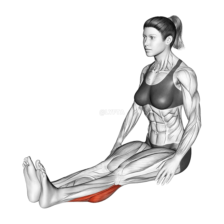 Seated Calf Stretch - Video Guide | Lyfta