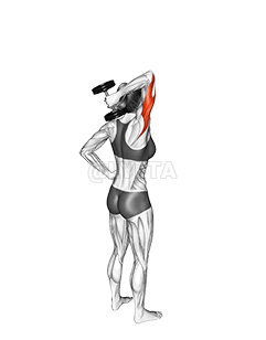 Image of Extensie pentru triceps cu gantere cu un braț