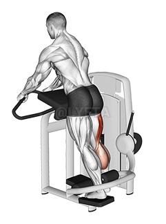 Image of Lever Standing Leg Curl