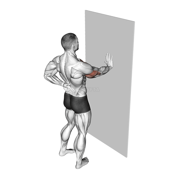 Single Arm Push-up Supported Wall - Video Guide | Lyfta