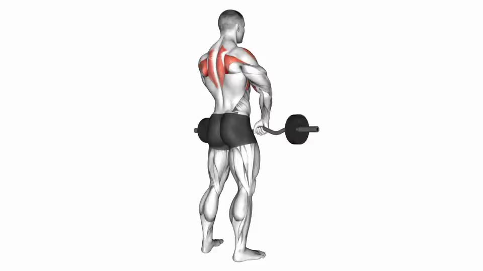 Upright row muscles online used