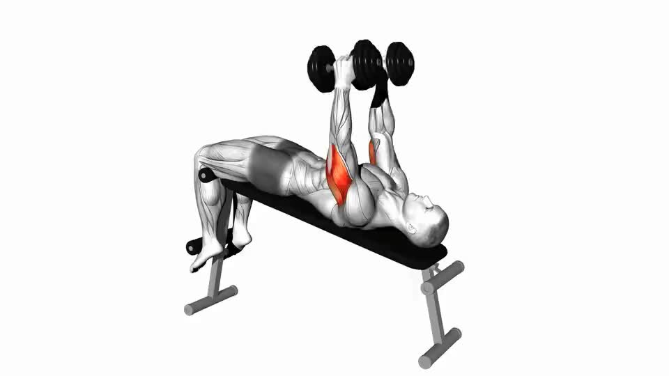 Dumbbell skull crushers, also known as lying triceps extensions, are a