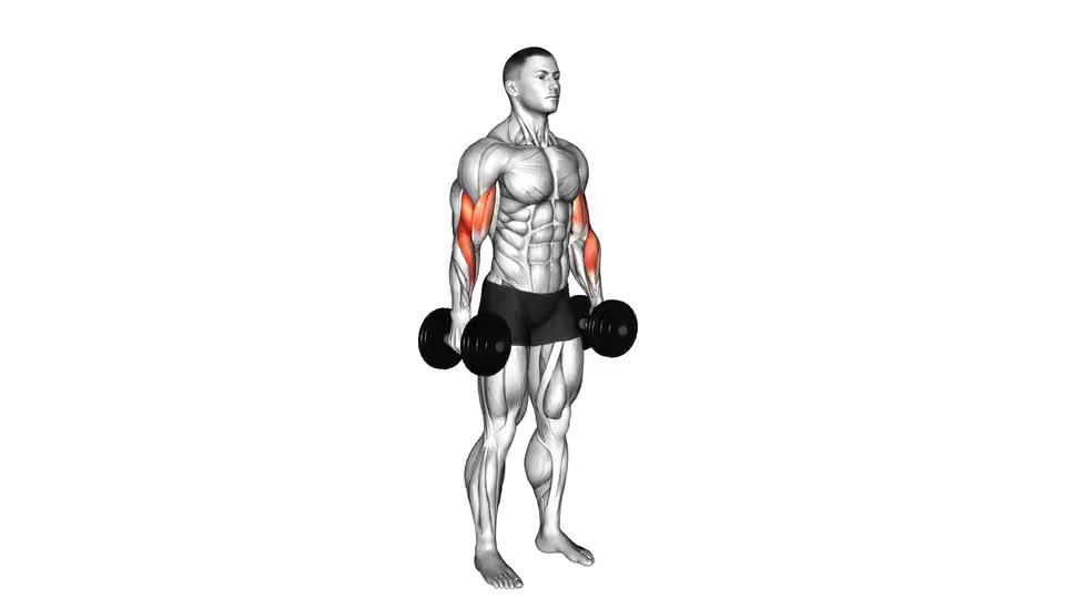 Dumbbell Standing Biceps Curl - Video Guide | Lyfta