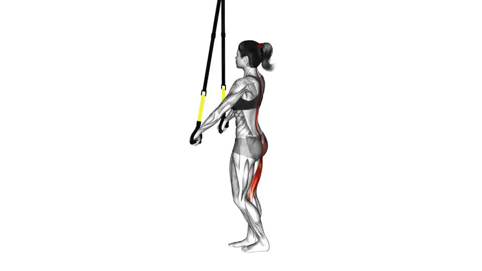 Image of Suspensie Deadlift cu un singur picior