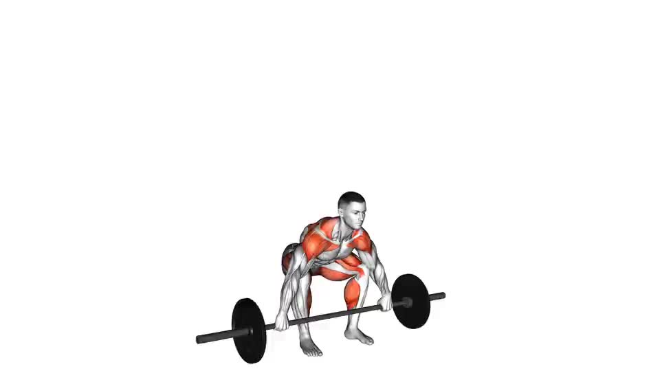 Image of Barbell Snatch