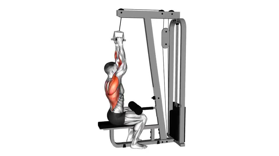 Cable Lateral Pulldown with V-bar - Video Guide