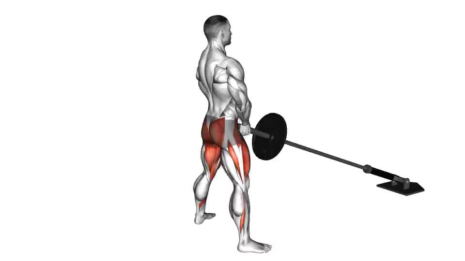 Barbell Sumo Squat exercise
